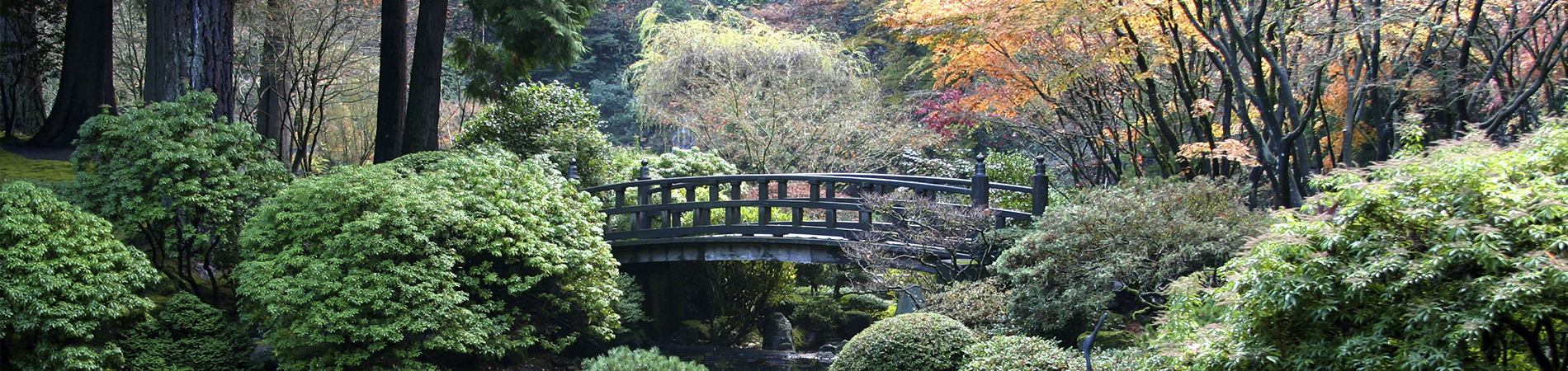 Japanese Garden